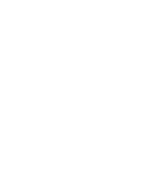 Skytex Logo
